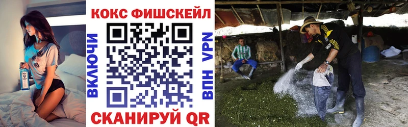 COCAIN Эквадор  наркотики  Вятские Поляны 