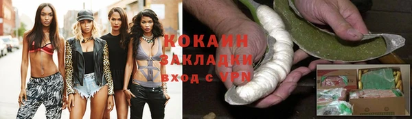 дживик Верея