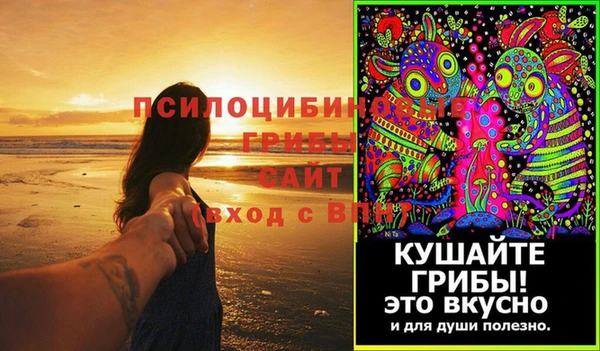 дживик Верея